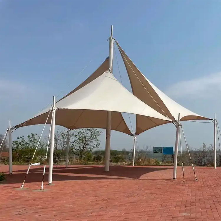 武定县膜结构景观棚