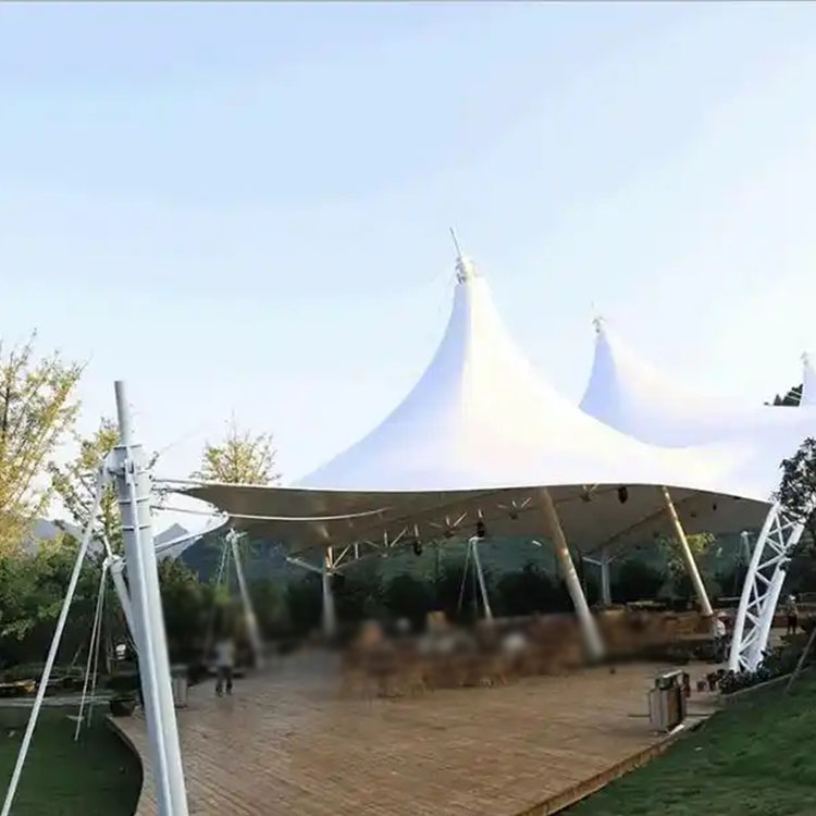 武定县膜结构景观棚